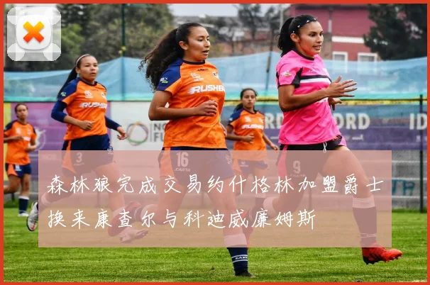 森林狼完成交易约什格林加盟爵士换来康查尔与科迪威廉姆斯