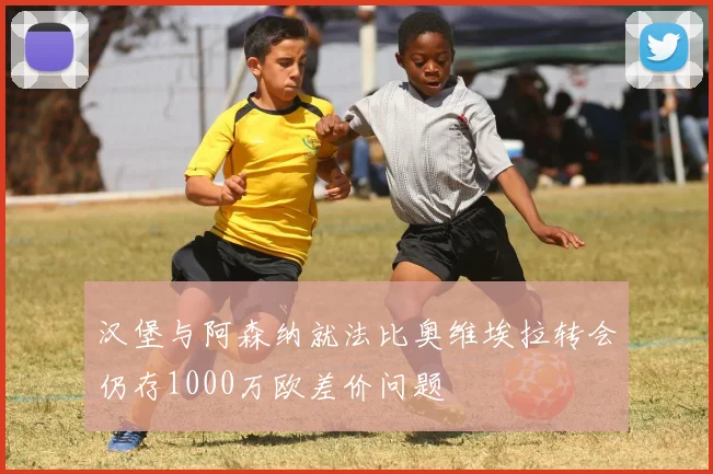 汉堡与阿森纳就法比奥维埃拉转会仍存1000万欧差价问题